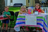 Lemonade Elmwood Illinois